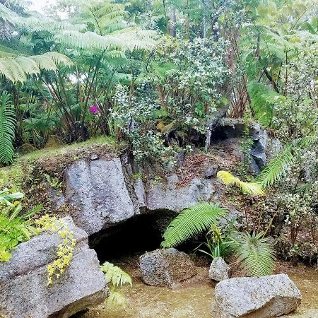 'Ama'U Lani Cottage 沃尔卡诺 外观 照片