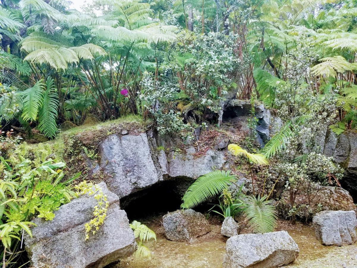 'Ama'U Lani Cottage 沃尔卡诺 外观 照片