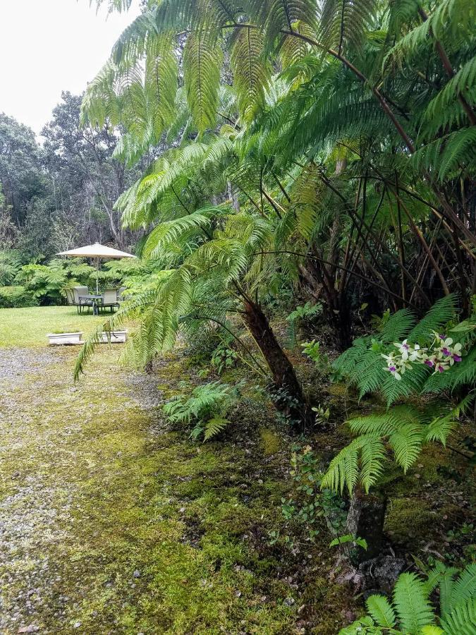 'Ama'U Lani Cottage 沃尔卡诺 外观 照片